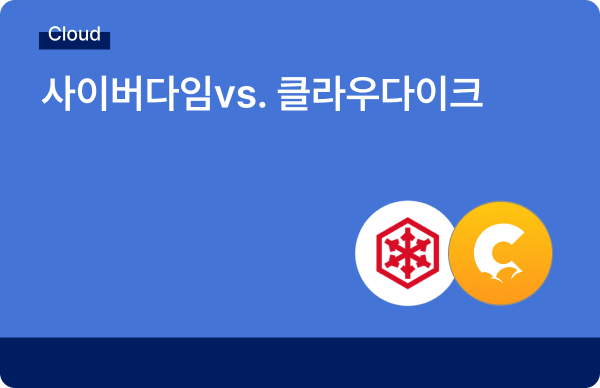 사이버다임 클라우다이크